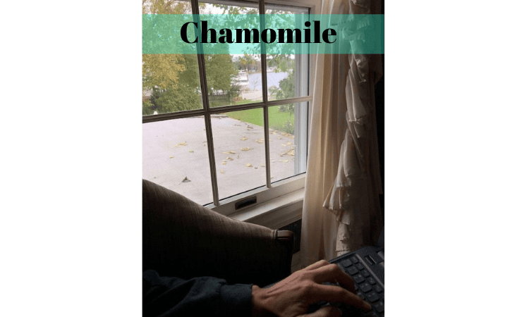 Chamomile Room